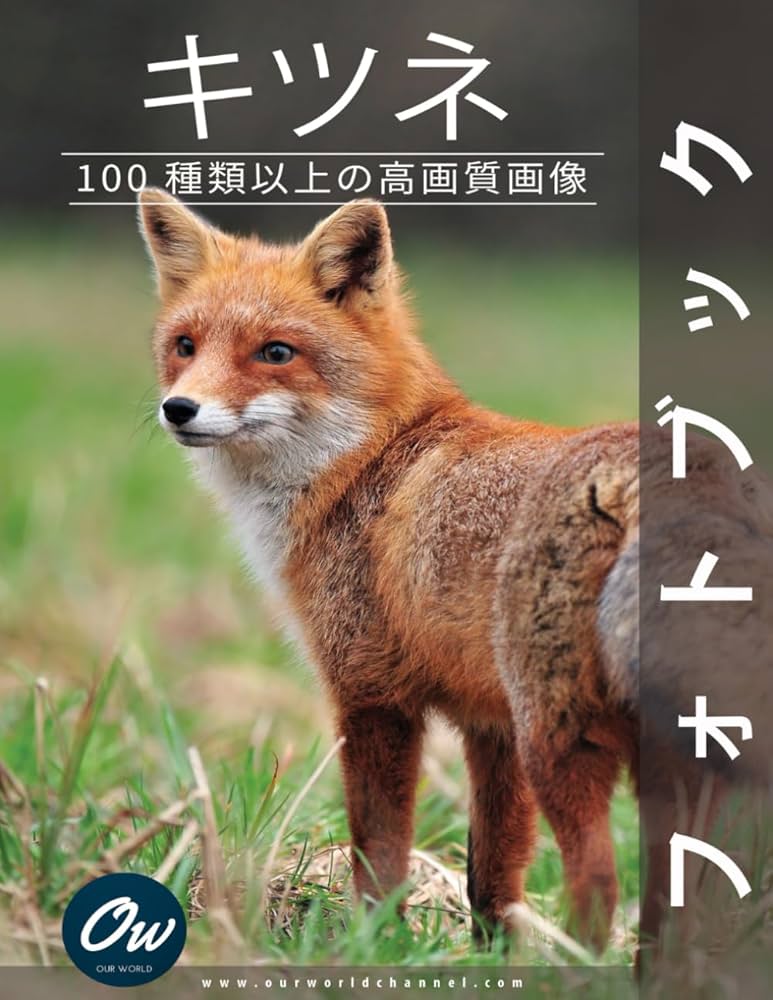 Amazon.co.jp: キツネ: フォトブック : わたしたちの世界, アラレット